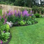 Las Principales Reglas Generales De Cultivo En Un Jardin
